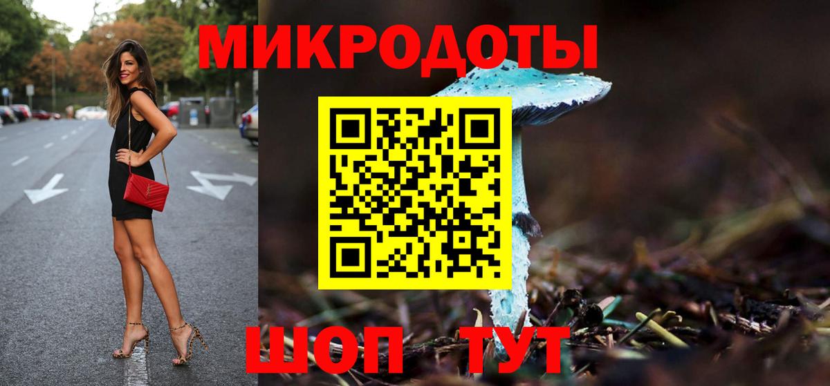 Псилоцибиновые грибы мицелий Похвистнево