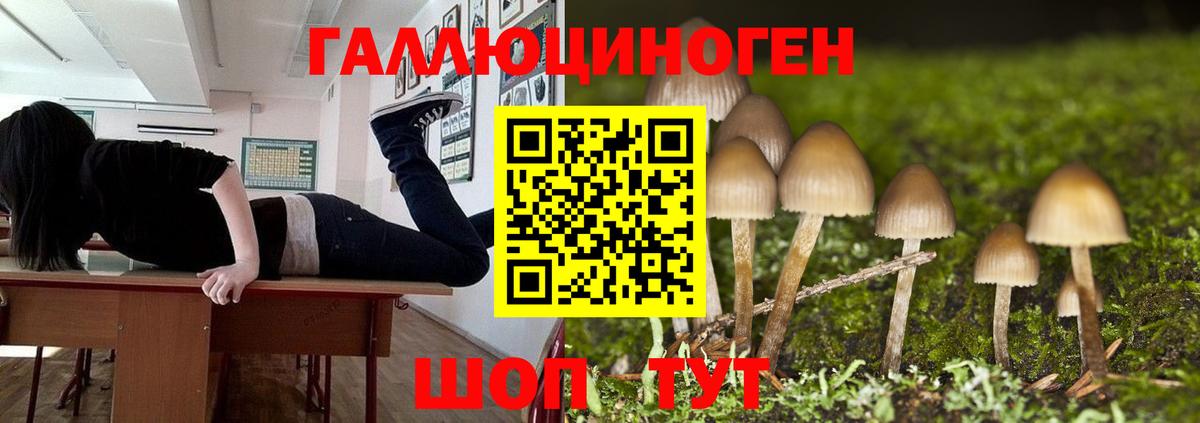 Псилоцибиновые грибы GOLDEN TEACHER  Вход с VPN  Похвистнево 